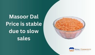 Masoor Dal Price is stable due to slow sales, no chance of rise in prices